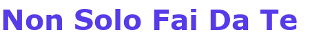 Non solo fai da te Logo
